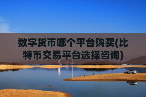 数字货币哪个平台购买(比特币交易平台选择咨询)