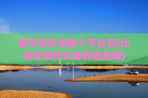 数字货币去哪个平台买(比特币软件交易界面直观)