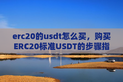 erc20的usdt怎么买,购买ERC20标准USDT的步骤指南