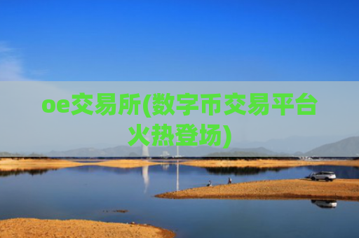 oe交易所(数字币交易平台火热登场)