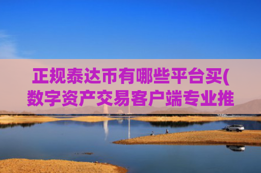 正规泰达币有哪些平台买(数字资产交易客户端专业推荐)