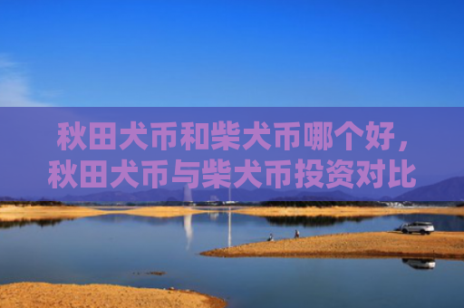 秋田犬币和柴犬币哪个好，秋田犬币与柴犬币投资对比分析