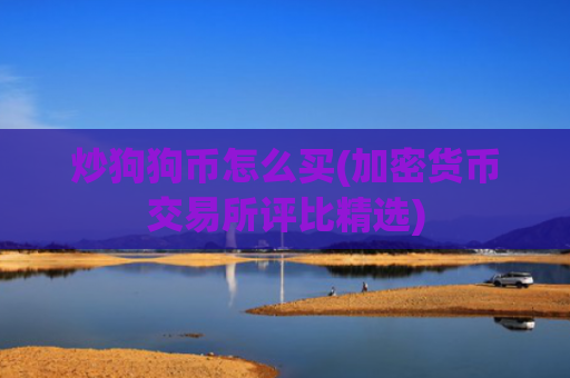 炒狗狗币怎么买(加密货币交易所评比精选)