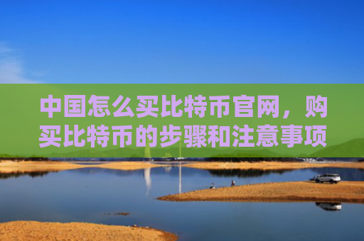 中国怎么买比特币官网,购买比特币的步骤和注意事项