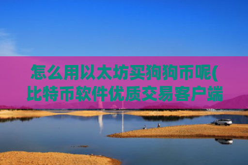 怎么用以太坊买狗狗币呢(比特币软件优质交易客户端)