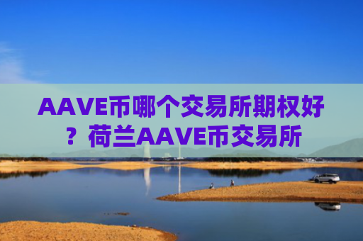 AAVE币哪个交易所期权好？荷兰AAVE币交易所