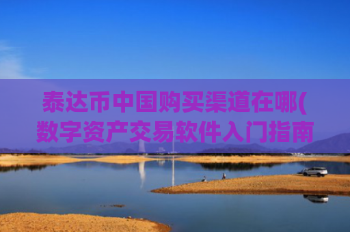 泰达币中国购买渠道在哪(数字资产交易软件入门指南)