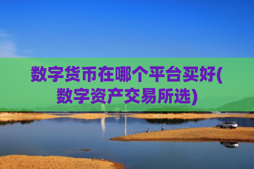 数字货币在哪个平台买好(数字资产交易所选)