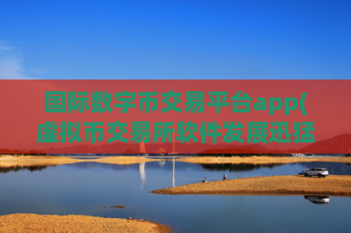 国际数字币交易平台app(虚拟币交易所软件发展迅猛)