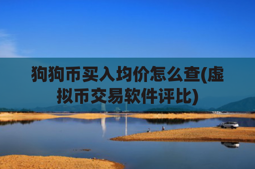 狗狗币买入均价怎么查(虚拟币交易软件评比)