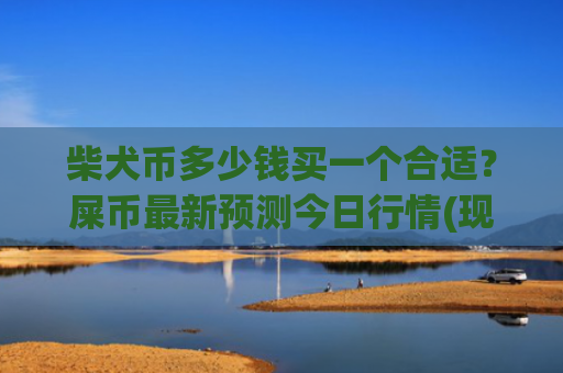 柴犬币多少钱买一个合适?屎币最新预测今日行情(现价0.00021813元)
