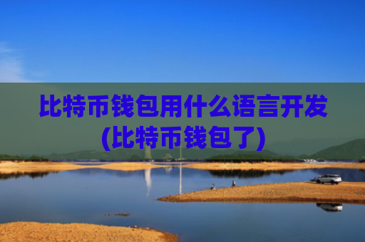 比特币钱包用什么语言开发(比特币钱包了)