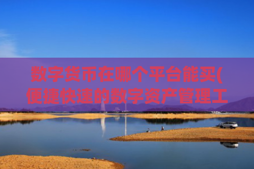 数字货币在哪个平台能买(便捷快速的数字资产管理工具)