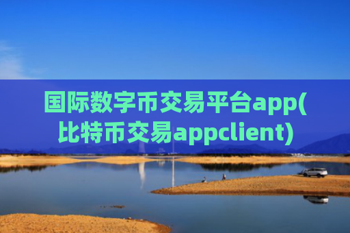 国际数字币交易平台app(比特币交易appclient)