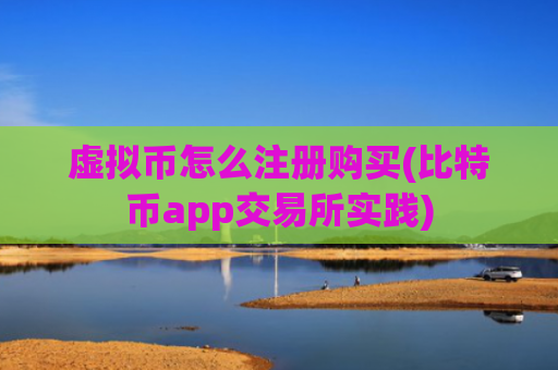 虚拟币怎么注册购买(比特币app交易所实践)