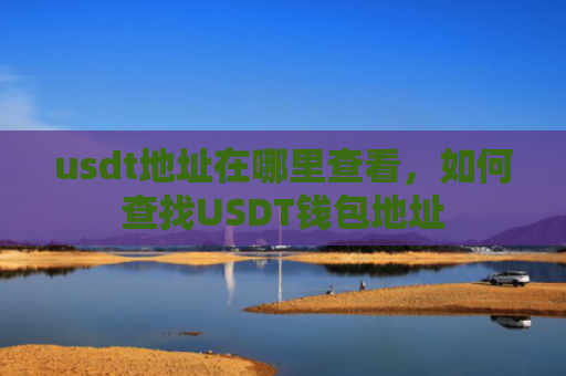 usdt地址在哪里查看，如何查找USDT钱包地址