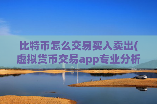 比特币怎么交易买入卖出(虚拟货币交易app专业分析)