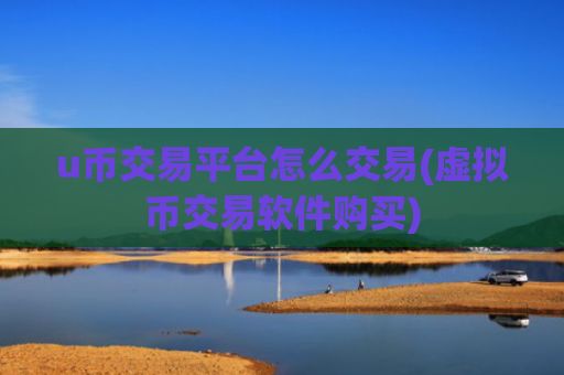 u币交易平台怎么交易(虚拟币交易软件购买)