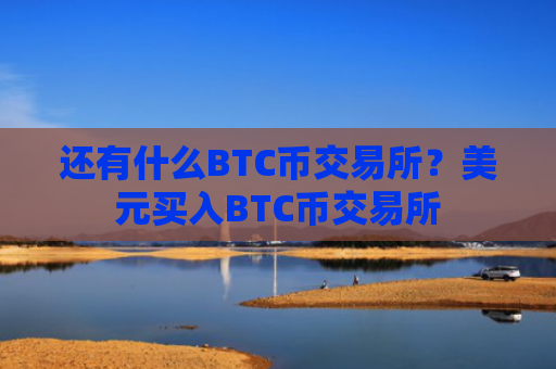还有什么BTC币交易所？美元买入BTC币交易所