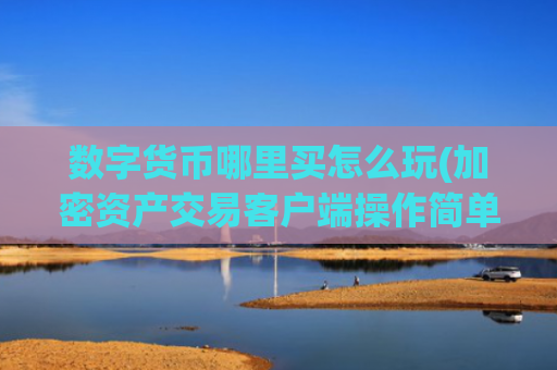 数字货币哪里买怎么玩(加密资产交易客户端操作简单)