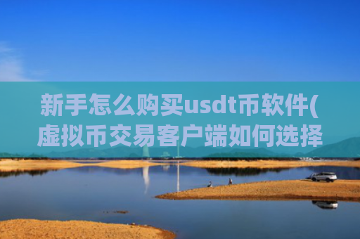 新手怎么购买usdt币软件(虚拟币交易客户端如何选择)