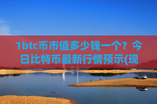 1btc币市值多少钱一个？今日比特币最新行情预示(现价707104.82元)