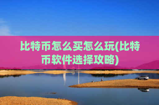 比特币怎么买怎么玩(比特币软件选择攻略)
