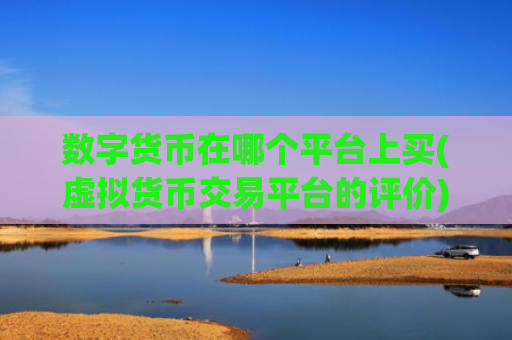 数字货币在哪个平台上买(虚拟货币交易平台的评价)