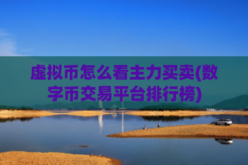 虚拟币怎么看主力买卖(数字币交易平台排行榜)