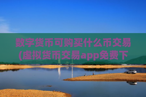 数字货币可购买什么币交易(虚拟货币交易app免费下载)