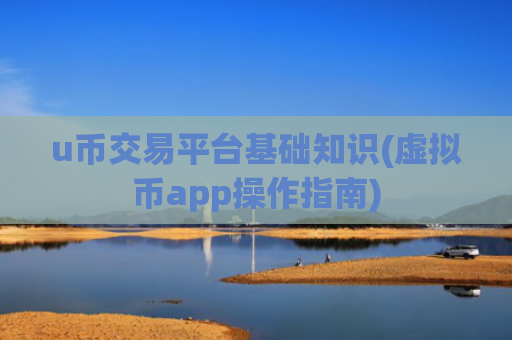 u币交易平台基础知识(虚拟币app操作指南)