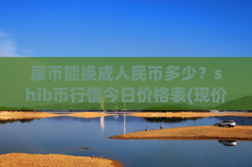 屎币能换成人民币多少？shib币行情今日价格表(现价0.00021826元)
