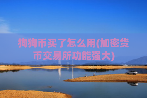 狗狗币买了怎么用(加密货币交易所功能强大)