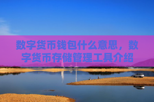 数字货币钱包什么意思,数字货币存储管理工具介绍