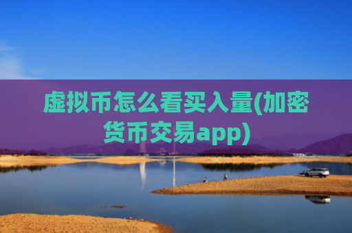 虚拟币怎么看买入量(加密货币交易app)