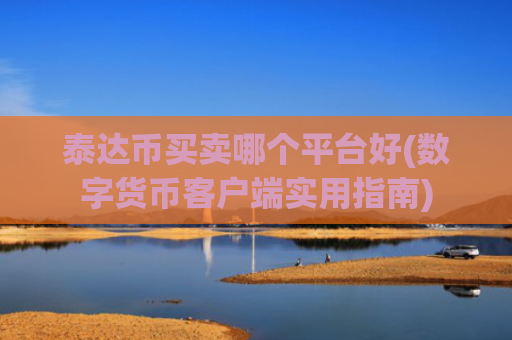 泰达币买卖哪个平台好(数字货币客户端实用指南)