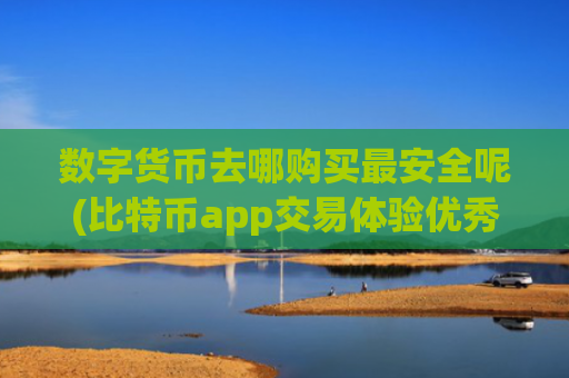 数字货币去哪购买最安全呢(比特币app交易体验优秀)