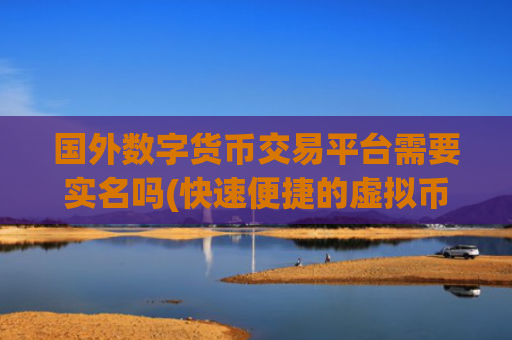 国外数字货币交易平台需要实名吗(快速便捷的虚拟币交易客户端)