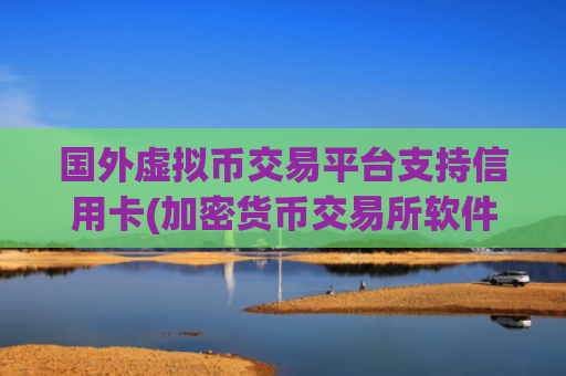 国外虚拟币交易平台支持信用卡(加密货币交易所软件精选)