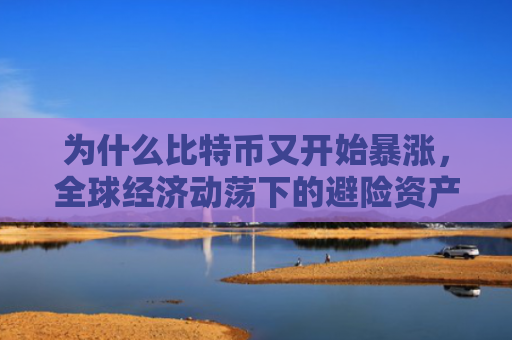 为什么比特币又开始暴涨,全球经济动荡下的避险资产需求增加