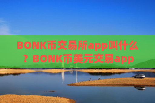 BONK币交易所app叫什么?BONK币美元交易app