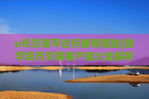 u币交易平台币都有哪些(数字货币交易客户端大全解析)