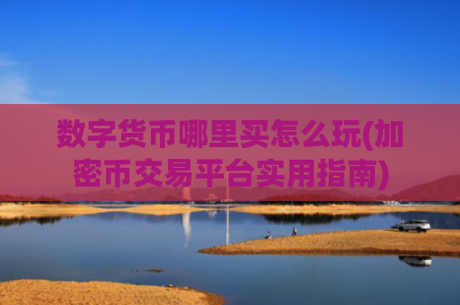 数字货币哪里买怎么玩(加密币交易平台实用指南)