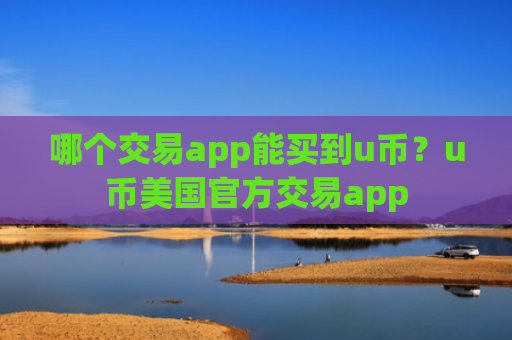 哪个交易app能买到u币？u币美国官方交易app