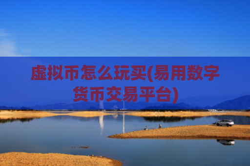 虚拟币怎么玩买(易用数字货币交易平台)