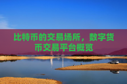 比特币的交易场所，数字货币交易平台概览