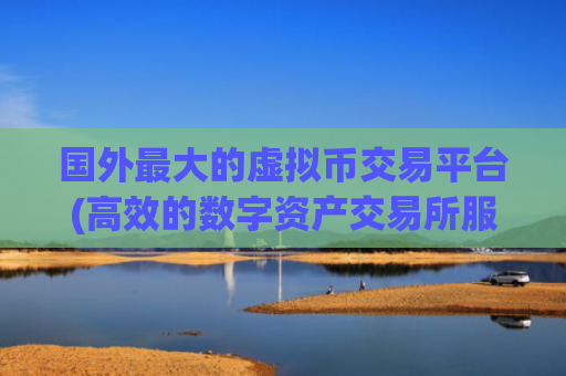 国外最大的虚拟币交易平台(高效的数字资产交易所服务)