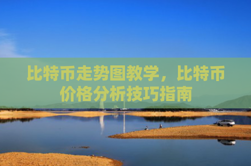 比特币走势图教学，比特币价格分析技巧指南