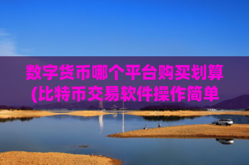 数字货币哪个平台购买划算(比特币交易软件操作简单快捷)