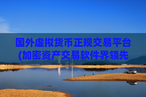 国外虚拟货币正规交易平台(加密资产交易软件界领先)